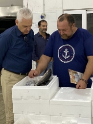 Επίσκεψη του Φ. Ζαΐμη στην Ιχθυόσκαλα Πατρών για τις συνέπειες στον κλάδο της αλιείας
