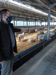 Επίσκεψη Αντιπεριφερειάρχη Θ. Βασιλόπουλου στη μονάδα προβατοτροφίας Μιλιόρα Φαρμ