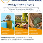 Ημερίδα επιχειρηματικής και επαγγελματικής ενδυνάμωσης στον Πύργο
