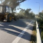 Παρεμβάσεις αποψίλωσης επικίνδυνων δέντρων στο οδικό δίκτυο της Ηλείας